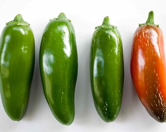 Hot Pepper- Jalapeno TAM- 67 day- 900 scovilles- very mild heat- 25 seeds