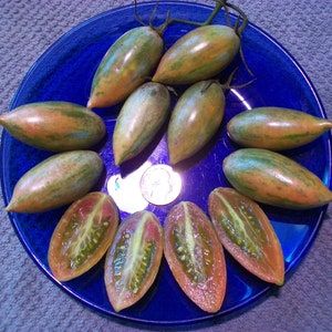 Heirloom Tomato- LUCKY TIGER- 70 day striped, Indeterminate 25 seeds per pack