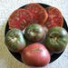 see more listings in the Tomato section