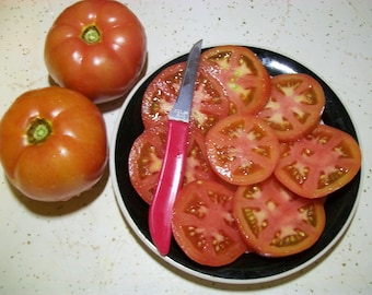 Heirloom Tomato- CLEAR PINK- 60 day rosy pink Determinate- 25 seeds