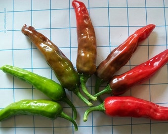 Hot Pepper- SHISHITO- Japanese- 75 day- 200 SHU- extremely mild- 25 seeds