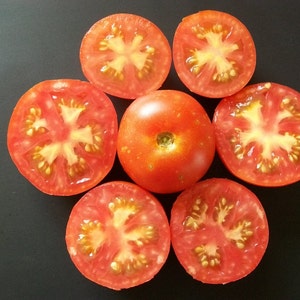 Cherry Tomato BLOODY BUTCHER red saladette 55 day INDETERMINATE 25 seeds image 2