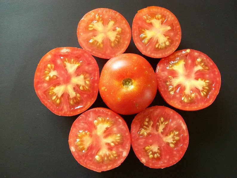 Cherry Tomato BLOODY BUTCHER red saladette 55 day INDETERMINATE 25 seeds image 2