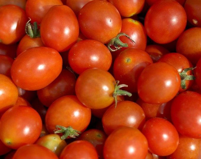 Cherry Tomato Riesentraube 70 Day INDETERMINATE 25 Seeds Etsy