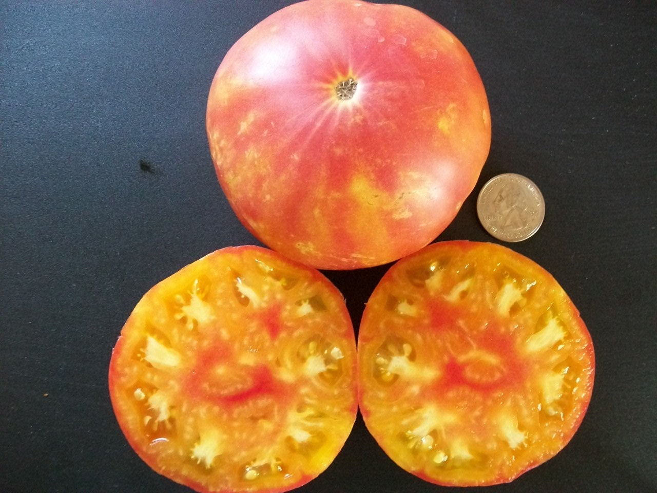 Heirloom Tomato- OAXACAN JEWEL - 85 Day Orange and Red
