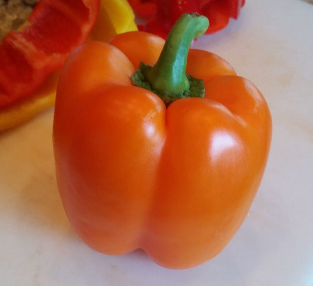 Sweet Pepper Orange Sun 75 Days to Harvest 25 Seeds Etsy