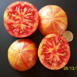 Heirloom Tomato- Vintage Wine- 85 day STRIPED Indeterminate- 25seeds