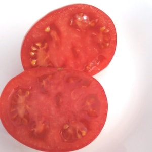 Cherry Tomato BLOODY BUTCHER red saladette 55 day INDETERMINATE 25 seeds image 3