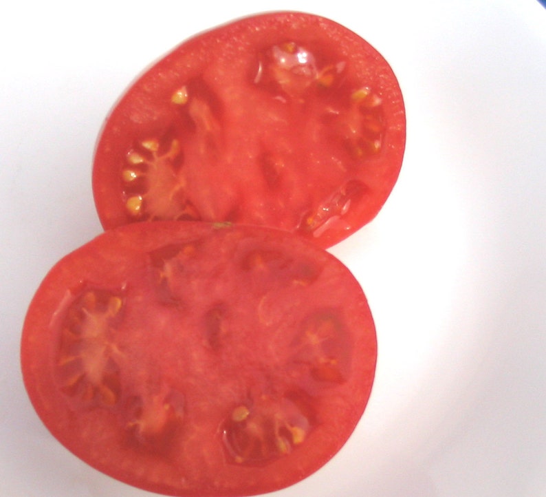 Cherry Tomato BLOODY BUTCHER red saladette 55 day INDETERMINATE 25 seeds image 3