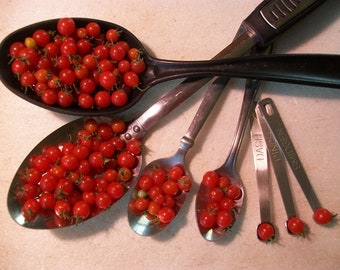 Cherry Tomato- SPOON- Smallest in the World - 70 day Indeterminate- 25 seeds