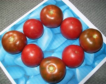 Heirloom Tomato- VIAGRA- 75 to 80 day- Chocolate- Indeterminate- I didn't name it- 25 seeds per pack