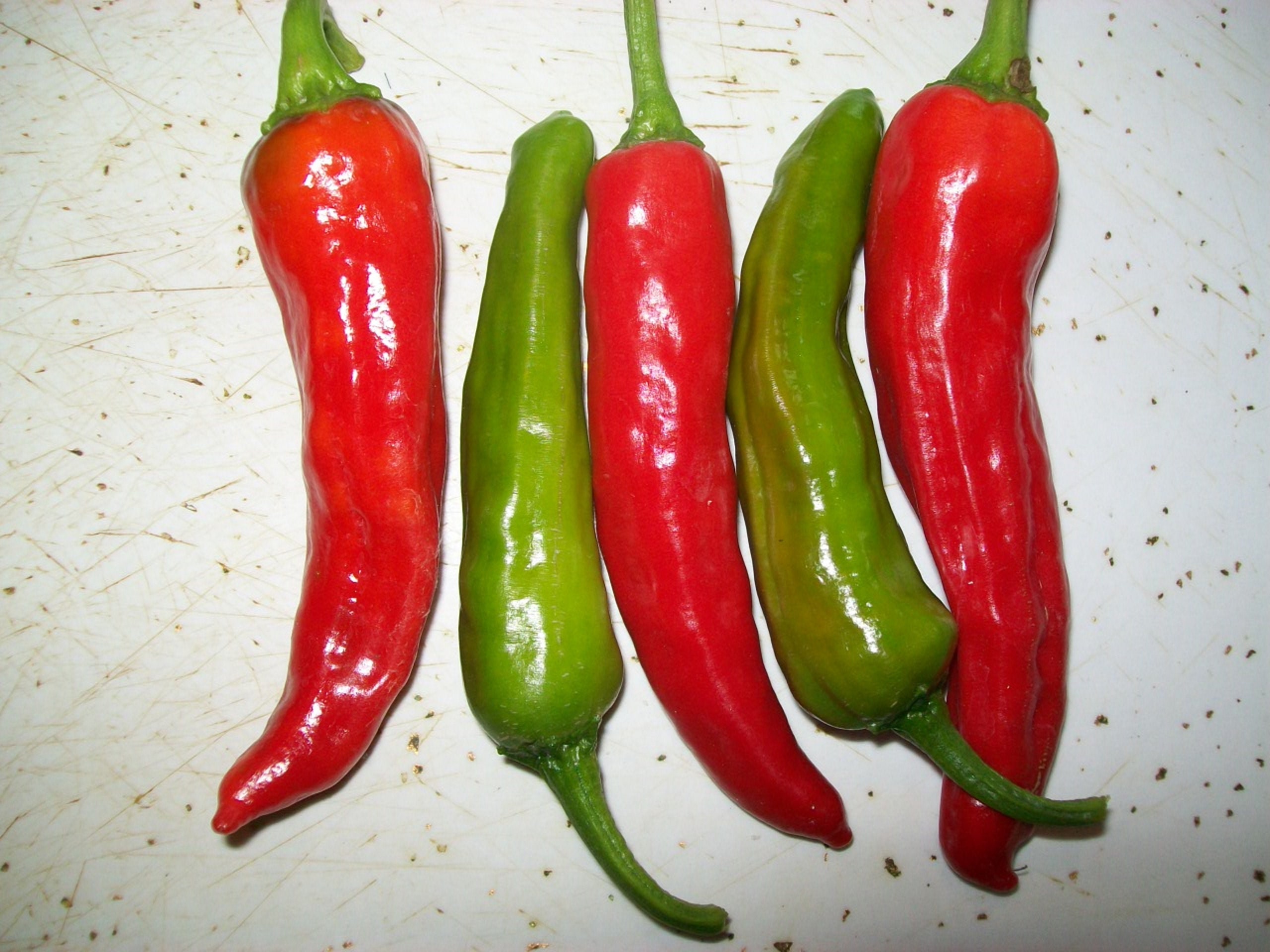 Hot Pepper Japanese Shishito 75 day 200 SHU extremely Etsy
