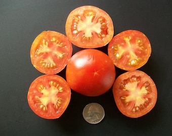 Heirloom Tomato- BLOODY BUTCHER - red saladette- 55 day INDETERMINATE- 25 seeds