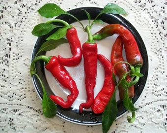 Hot Pepper- GOAT HORN- 75 day- 13,000 scovilles- moderate heat- 25 seeds