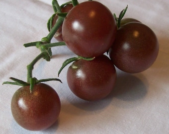 Cherry tomato- CHOCOLATE CHERRY- 65 day INDETERMINATE- 25 seeds