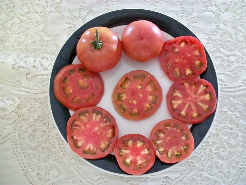 Heirloom Tomato PURPLE PERFECT 75 to 85 day PURPLE Etsy