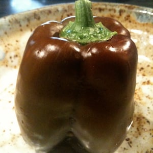 Sweet Pepper- CHOCOLATE BELL- 85 days to harvest- 25 seeds