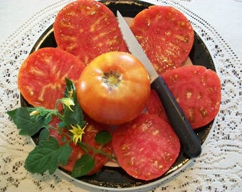 Heirloom Tomato- ABE LINCOLN- 87 day RED Indeterminate- 25 seeds