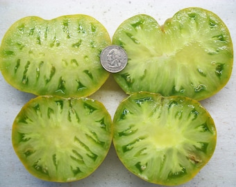 Heirloom Tomato- Evergreen - 72 day GREEN Indeterminate -  25 seeds per pack