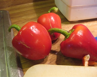 Sweet Pepper- PIMENTO- heart shaped- 75 days to harvest-  25 seeds