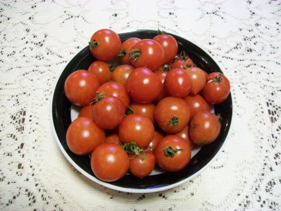 Cherry Tomaten Sweetie Rot Erbstuck 50 Tag Unbestimmte Etsy