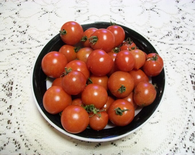 Cherry Tomato SWEETIE Red Heirloom 50 Day INDETERMINATE Etsy