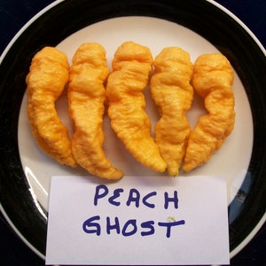 Hellish hot pepper-  Bhut jolokia PEACH Ghost Pepper-  25 seeds