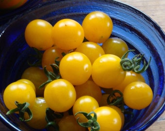 Cherry Tomato- CURRANT- YELLOW- tiny 70 day species - INDETERMINATE- 25 seeds
