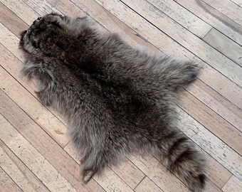 COOL Vintage Brown Real RACCOON Pelt In GREAT Condition!