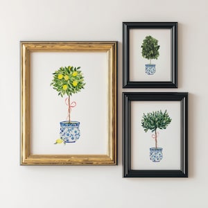 May include: Three framed watercolor prints of potted trees. The largest print, in a gold frame, features a lemon tree with yellow lemons. The other two prints, in black frames, depict similar trees. All trees are in blue and white patterned pots.