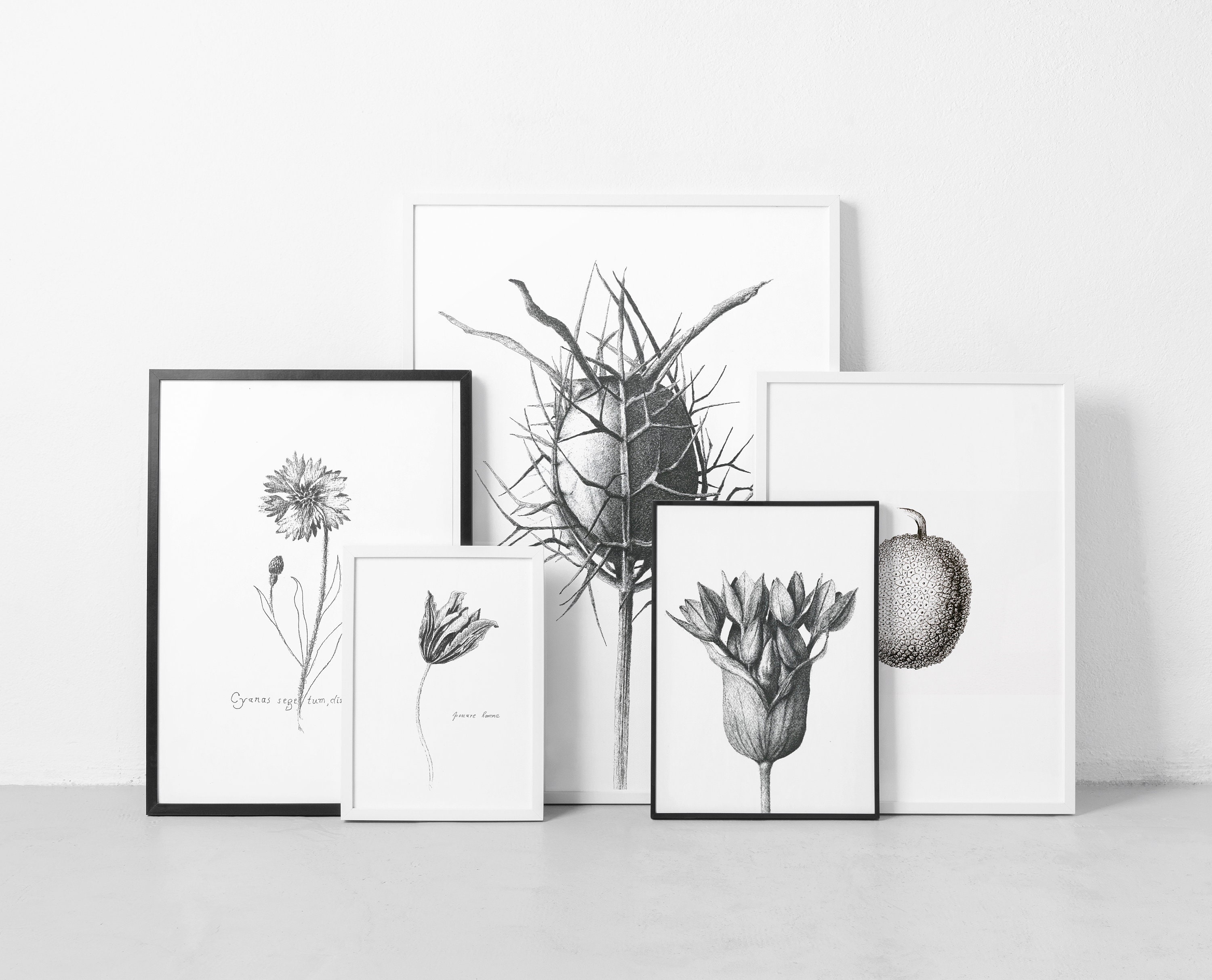 Wild Plant Art Print Nature Art Printable Wall Art Instant Etsy