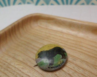 May include: A yellow, green, and black button with a black dog silhouette and the text "NEWFOUNDLAND" on a wooden surface.