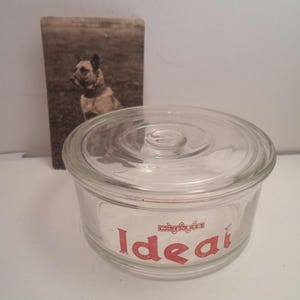 Ideal Dog Food Vintage Advertising Wilson Co Ideal Glass Canister with Lid Dog Puppy Dog Lover WWII ERA inside rim chip Fur Baby