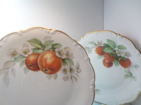 7 pc 8" fruit plates Pasco Bavaria Germany gold leaf edge cherry, red currant