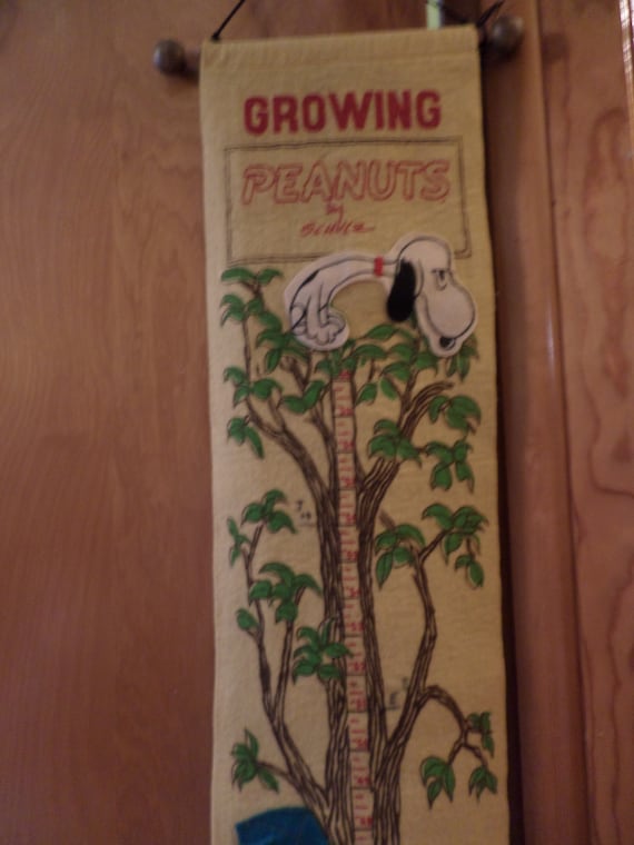 Vintage 60's Peanuts growing chart for childrens wall Charlie Brown, Snoopy United Feature Syndicate