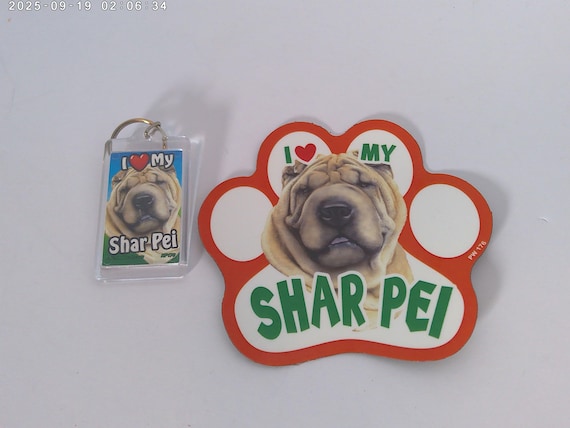 Shar Pei dog I love my dog Keychain and car magnet set pet shop close out