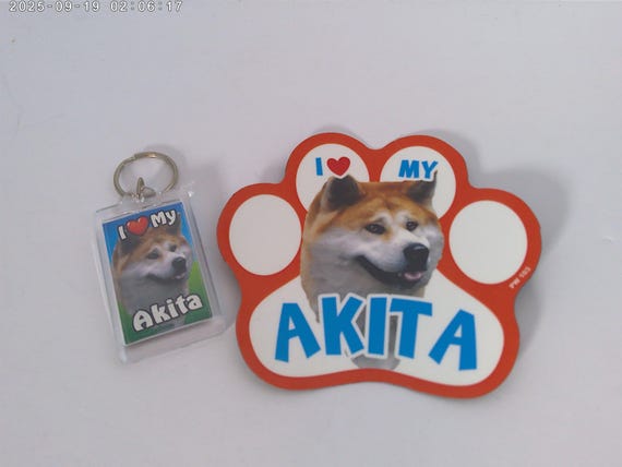 Akita I love my dog Keychain and car magnet set pet shop close out