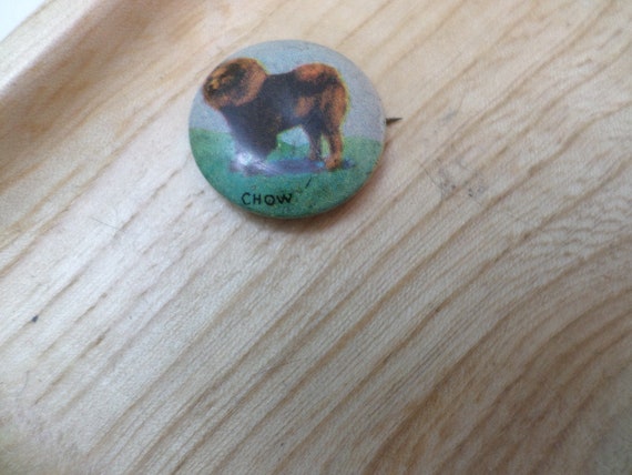 vintage 30's small button pin back CHOW dog breed premium Orbit gum