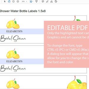 Water Bottle Labels Printable, Lemon Bridal Shower, Editable Text, Printable PDF, Lemon Bridal Shower Decoration, Editable PDF, image 7