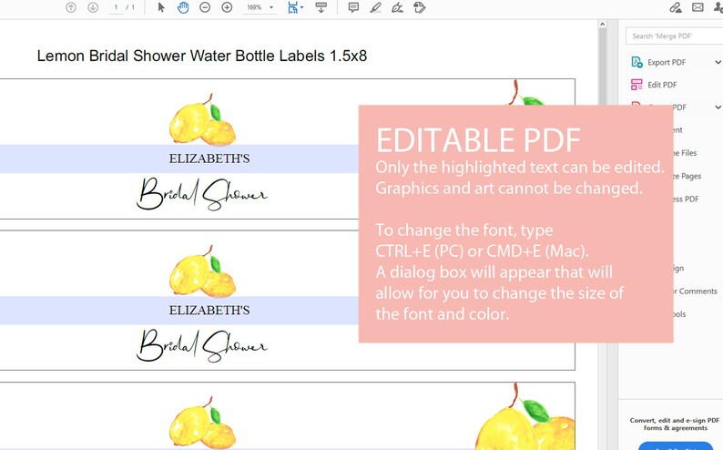 Water Bottle Labels Printable, Lemon Bridal Shower, Editable Text, Printable PDF, Lemon Bridal Shower Decoration, Editable PDF, image 7