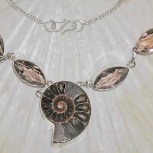 May include: A silver necklace with a brown and black ammonite fossil pendant and four faceted, light brown gemstone accents.