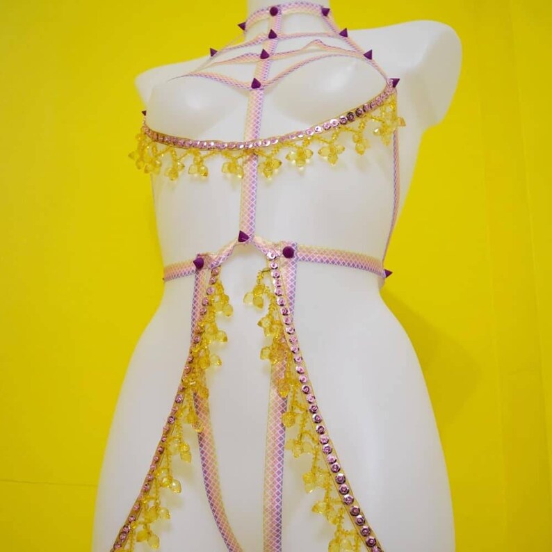 Rainbow Dragon Full Body burlesque lingerie harness