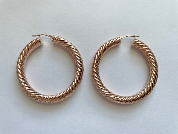 Bronze hoop earrings discount