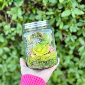 Build Your Own Terrarium DIY Kit