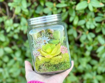 Build Your Own Terrarium DIY Kit