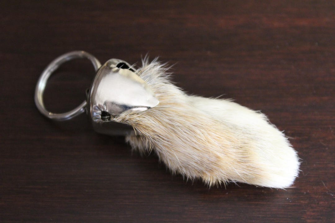 Small Rabbit Foot Keychain Rabbit Foot Key Ring/ Keychain / Zipper Pull - Creme D'argent Luck ...
