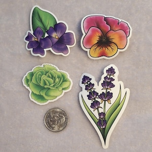 LGBTQ+ Flowers