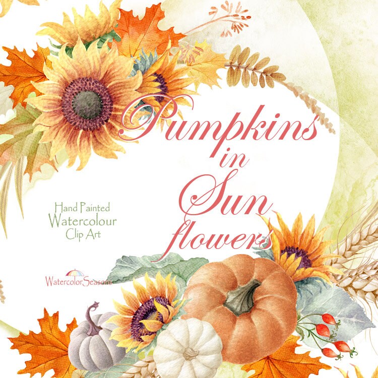 Download Watercolor Pumpkins In Sunflowers Arrangements And Wreath Etsy