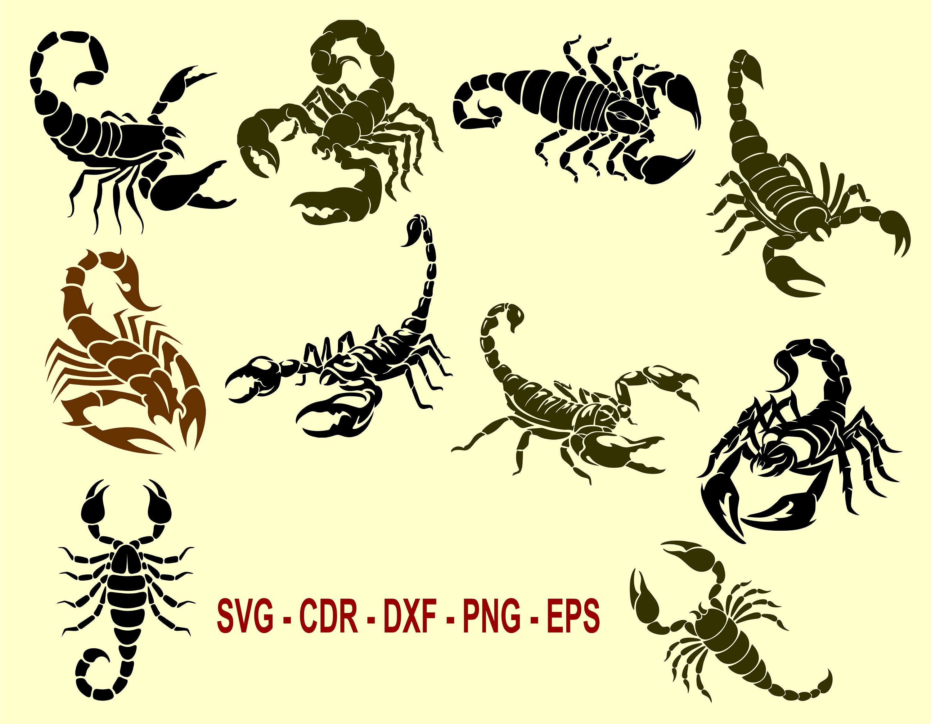 Scorpion Vector Scorpion Clipart Scorpion Logo Scorpion - Etsy Scorpion Vector Scorpion Clipart Scorpion Logo Scorpion - Etsy