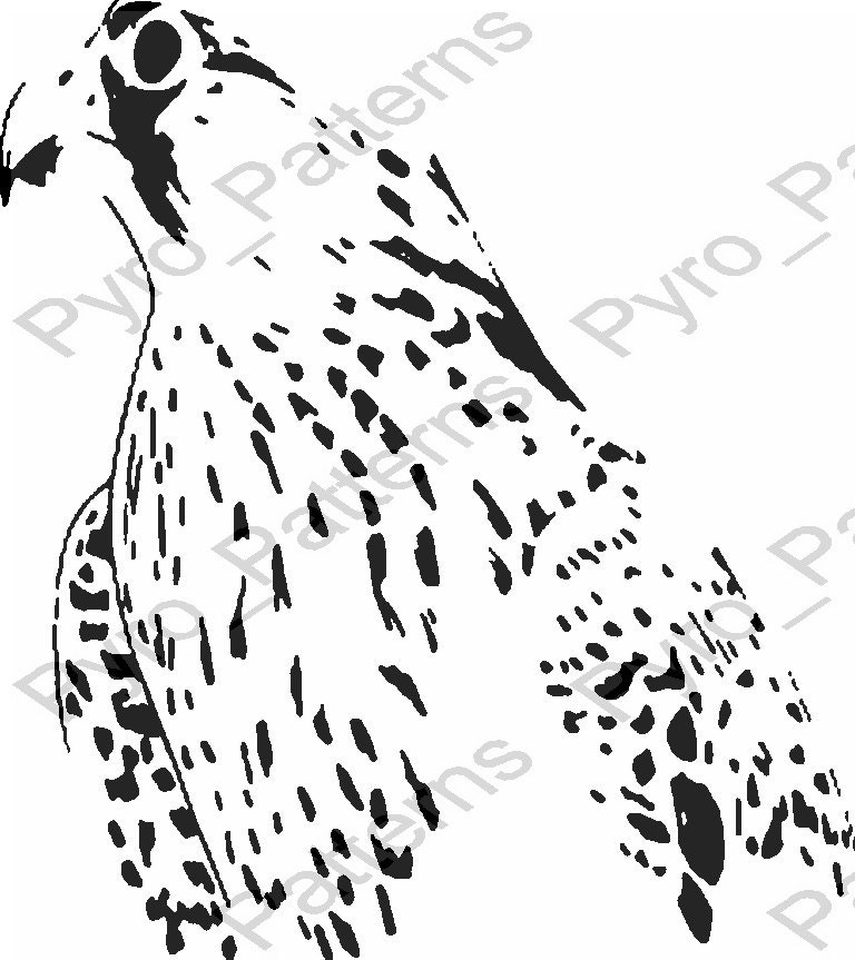 Pyrography Wood burning Hawk Bird - Il Fullxfull.835487588 Cdlf 